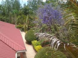 Welcome to brownstone country home. Brownstone Country Home In Uganda