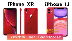 Perbedaan Iphone 11 Dan Iphone Xr Perlukah Ganti Baru Https Www Pro Co Id Perbedaan Iphone 11 Dan Iphone Xr Iphone Ipod Touch Ipod
