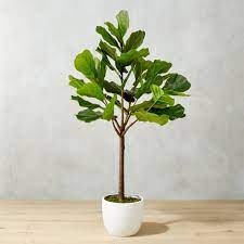 1 why faux is better than real. 65 Potted Faux Fiddle Leaf Fig Reviews Cb2
