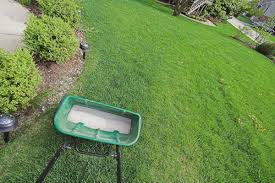 Water conservation and a healthy, beautiful lawn aren't mutually exclusive. 9 Faqs About Applying Starter Fertilizer To Your Lawn Lawnstarter