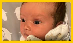 Peds Express: News from and for the University of Iowa Stead Family  Department of Pediatrics