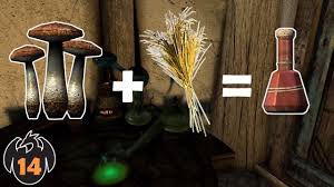 It has the effects of fortify health, fortify carry weight, and damage stamina regeneration. 14 A Little Wheat And Blisterwort Makes A Healing Potion If You Didn T Know Skyrim Youtube