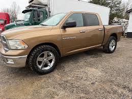 Image result for Dark Brown 2012 Dodge Truck
