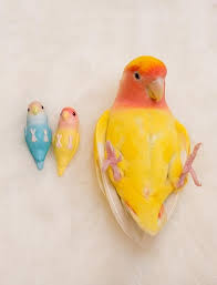 Birds Atlantis 2020 Papaganlar Muhabbet Kuslari Papagan
