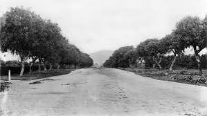 When L.A.'s Most Famous Streets Were Dirt Roads | Lost LA | Arts & Culture | PBS SoCal