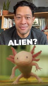 If hummingbirds don't like their immediate company, they will kill them.  Fortunately, hummingbirds Mikhail and Alexa happily share a cage.