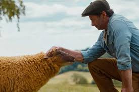 ‘The Sheep Detectives’ Review: Wholesomely Offbeat Family Comedy Has Bags Full of Charm