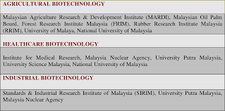 Within the first decade of its establishment. Pdf The Role Of Research And Development Related Kibs In Bio Technology Industries Of Malaysia Semantic Scholar