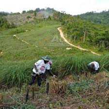 Check 'wakaf' translations into english. Global Wakaf