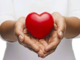 Une pédiatre et un prince très médiatisé que tout oppose tombent amoureux. A Noel Mon Prince Viendra