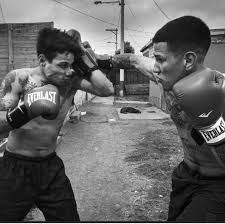 Profile for 𝕾𝖕𝖎𝖗𝖎𝖙 𝖋𝖎𝖌𝖍𝖙𝖊𝖗𝖘