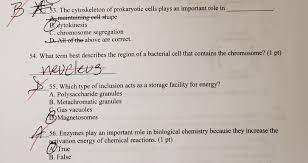 Solved 53 The Cytoskeleton Of Prokaryotic Cells Plays An Chegg Com