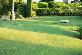 Stafford lawn service, north crossett, arkansas. Widewater Lawn Care Fredericksburg Va Mowing Stafford Trimming Mulching Snow Removal Quantico Virginia