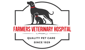 If your pet needs veterinary diagnostics or a simple wellness checkup, come to the pet hospital that st cloud, mn residents trust. Veterinarian In Richmond Va Farmers Veterinary Hospital