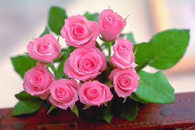 Rose flowers, free stock photos, rose flowers. World S Top 100 Beautiful Flowers Images Wallpaper Photos Free Download