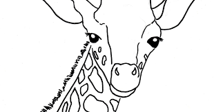 39+ giraffe head coloring pages for printing and coloring. Baby Giraffe Face Drawing