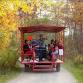 Fall Forest Wagon Ride event image