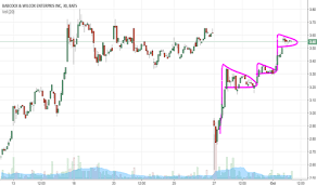 Bw Stock Price And Chart Nyse Bw Tradingview