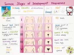 tanner stages of development mnemonics pediatric nurse