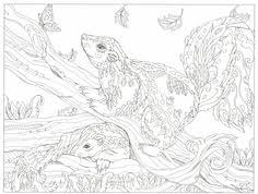Looking for free coloring pages for adults? Adult Coloring Pages To Save And Print