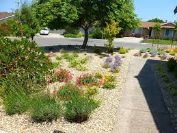 Most Inexpensive Landscape Ideas Always Seem To Include Little Lights And F Small Front Yard Landscaping Front Yard Landscaping Design Front Yard Landscaping