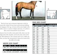 Horse Blanket Chart Zionak Org