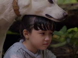 A street dog is taken in by a young couple, and the family pit becomes an instant accomplice as he. June Kopi English Sub Tv Guide