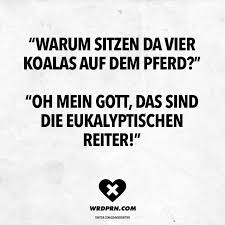 Warum Sitzen Da Vier Koalas Auf Dem Pferd Oh Mein Gott Das Sind Die Eukalyptischen Reiter Witzige Spruche Urkomische Zitate Sarkasmus Humor