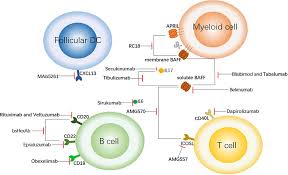 Image result for Biological Agent