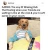 Between jess and nick miller, there's enough funny fodder for future generations to stumble upon and appreciate forever. Https Encrypted Tbn0 Gstatic Com Images Q Tbn And9gcssydflaupoldgwbka4pfkekl70qocjk0z5a6z0du4 Usqp Cau