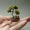 Zen gardening gifts · safe custom packaging · plants & supplies Https Encrypted Tbn0 Gstatic Com Images Q Tbn And9gcsbmtfsprnyn5udlqzsblvcgdqkzo3yvgxpqyqv7mwjpylj9hae Usqp Cau