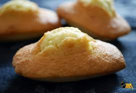 Madeleines A La Noix De Coco Recette Madeleine Moelleuse Recette Magimix Recette Magimix Cook Expert