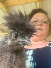 Everything Backyard Chicken!