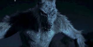 Pin By Adam M On Loup Garou Werewolf Werewolf Aesthetic Dog Soldiers