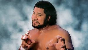 Image result for haku wrestler