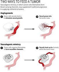 However, researchers continue to develop treatments that result in improved survival rates. Tumors Have Found A Bloody New Way To Grow And Spread Science Aaas