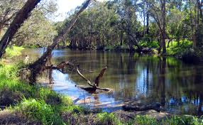 Hays Inlet At North Lakes Environmental Park North Lake Lake Natural Landmarks
