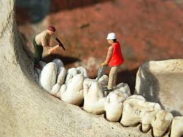 Ich Liebe Meinen Zahnarzt Tag Miniature Photography Small Art Miniature Art