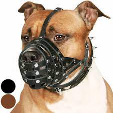 870 likes · 5 talking about this · 1,054 were here. Collar Direct Ebay Stores