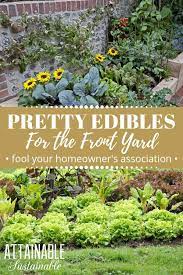 Planting A Front Yard Garden Full Of Pretty Edibles Annual And Perennial Vegetables Is A Home Vegetable Garden Vegetable Garden Design Front Yard Garden