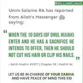 Dhivehi translation to or from english. Pin On Quote S