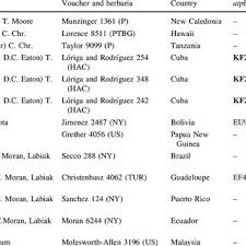 Image result for Chlorophytum bulbinifolium