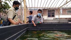 Kisah Martopo Asal Karangjati Kemaranjen Miliki Enam Kolam Ikan Bogo Berbahan Terpal Hingga Terintegrasi Dengan Instalasi Pengolah Limbah Radar Banyumas