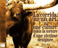Tu te joins à nous parce que tu veux te battre et tu continues à mes côtés parce que tu as des résultats ! Vegan Spirit Home Facebook