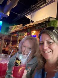 Picture of the inside the treehouse provided by the Laurel Tree restaurant  upon checkout after our meal. The treehouse was featured