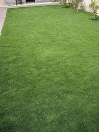 There are a few different types of carpet out there being the cut; For Garden Rectangular Korean Lawn Grass Rs 11 Square Feet Balaji Nursery Id 17979765162