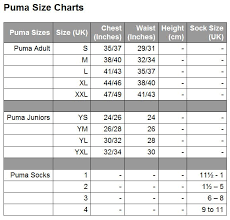 Puma Football Jersey Size Chart Off 52 Www Lerocholivier Com