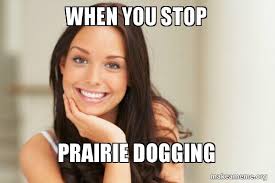 When You Stop Prairie Dogging Good Girl Gina Make A Meme