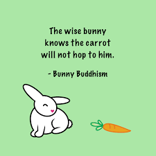 Hop To It Bunny Quotes Bunny Mom Bunny Pictures