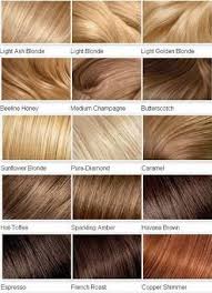 Many women tend to stay away from blondes because they aren't familiar with strawberry blonde tends to look great on all skin types depending on the shades used. Different Types Of Blonde Highlights Google Search Honey Hair Color Blonde Hair Shades Hair Styles